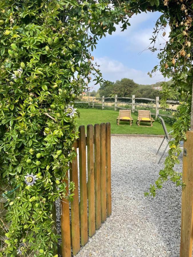 Holmdale Holiday Cottages Rye Εξωτερικό φωτογραφία
